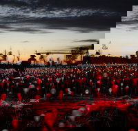 Field of Light Uluru - Whitsundays Accommodation
