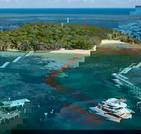 Great Adventures Green Island Ocean Swim - Whitsundays Accommodation