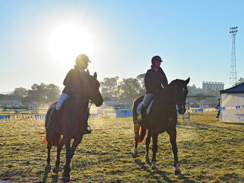 Gunnedah Showjumping Festival - Whitsundays Accommodation 0