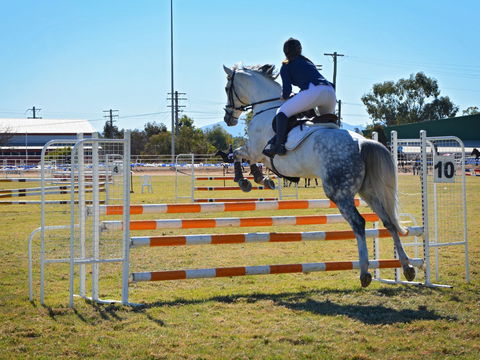 Gunnedah Showjumping Festival - Whitsundays Accommodation 1