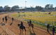 Gunnedah Showjumping Festival - thumb 2