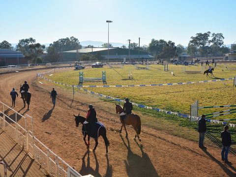 Gunnedah Showjumping Festival - Whitsundays Accommodation 2