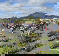 Hobart Showground Sunday Market - Weekly - Whitsundays Accommodation