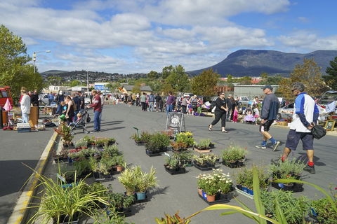 Hobart Showground Sunday Market - Weekly - Whitsundays Accommodation 0