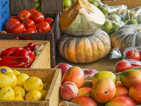 Hobart Showground Sunday Market - Weekly - Whitsundays Accommodation 2