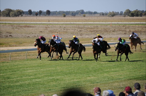 Jerilderie Gold Cup Races - Whitsundays Accommodation 0