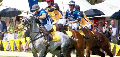 Land Rover Polo In The City Brisbane - Whitsundays Accommodation 0