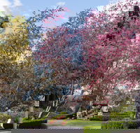 Leura Gardens Festival - Cancelled - Whitsundays Accommodation
