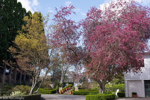 Leura Gardens Festival - Cancelled - Whitsundays Accommodation 0