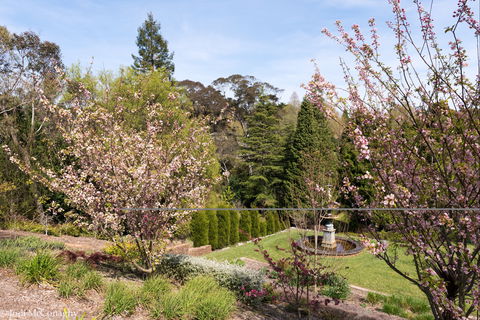Leura Gardens Festival - Cancelled - Whitsundays Accommodation 2