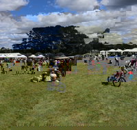 Majors Creek Festival - Whitsundays Accommodation