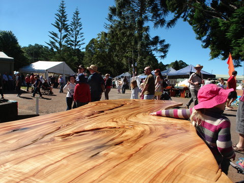 Maleny Wood Expo: From Seed To Fine Furniture - Whitsundays Accommodation 0