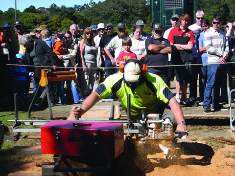 Maleny Wood Expo: From Seed To Fine Furniture - Whitsundays Accommodation 2