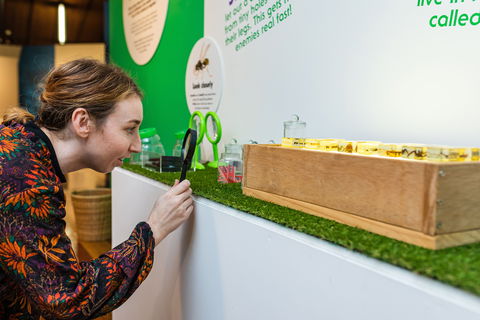 Minibeasts - Whitsundays Accommodation 0