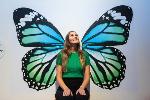 Minibeasts - Whitsundays Accommodation 1