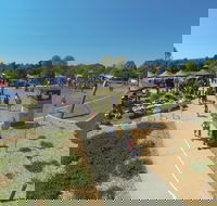 Moruya Country Market - Whitsundays Accommodation