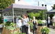 Nan Tien Health And Wellbeing Market - thumb 0