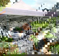 Nan Tien Health and Wellbeing Market - Whitsundays Accommodation