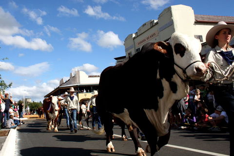 NCMC Casino Beef Week - Whitsundays Accommodation 1