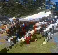 Palm Beach Market - Whitsundays Accommodation