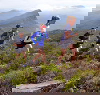 Peaks and Trails Run