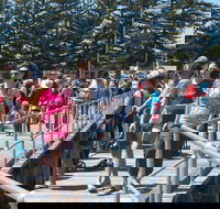 Port Broughton Annual Rubber Duck Race - Whitsundays Accommodation