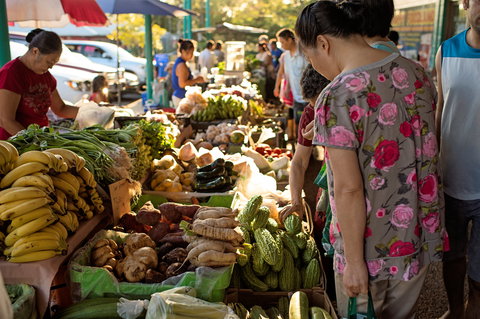 Rapid Creek Markets - Whitsundays Accommodation 1