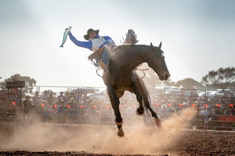 Rodeo By The Sea - Streaky Bay - Whitsundays Accommodation 0