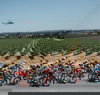Santos Tour Down Under - Whitsundays Accommodation