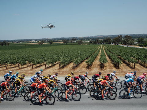 Santos Tour Down Under - Whitsundays Accommodation 0