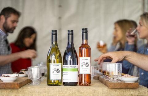 Southern Highlands Food And Wine Festival - Whitsundays Accommodation 2