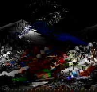 Summer  Family Nature Camp