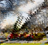 The Orange Society of Model Engineers - Miniature Train Rides - Whitsundays Accommodation