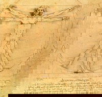 The Real Da Vinci Code - Whitsundays Accommodation