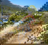 TreX Cross Triathlon Series  Snowy Mountains