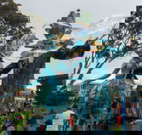 Tulip Festival Wynyard - Whitsundays Accommodation