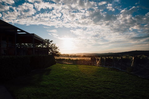 Weekly Truffling At Contentious - Whitsundays Accommodation 0