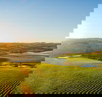 Wine and Food at Altitude - Whitsundays Accommodation