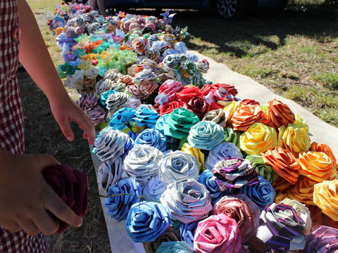 Wynyard Foreshore Market - Whitsundays Accommodation 0