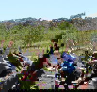 Yoga in the Vines - Whitsundays Accommodation