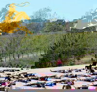Yoga in the Vines - Whitsundays Accommodation