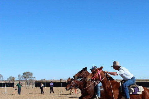 Birdsville Horse And Motorbike Gymkhana - Whitsundays Accommodation 0