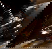 Tasmanian Whisky Week - Whitsundays Accommodation