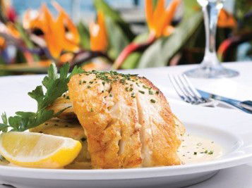 Adria Rybar & Grill - Whitsundays Accommodation 2
