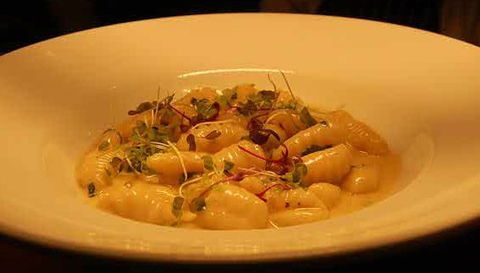 Aquacotta Italian Restaurant - Whitsundays Accommodation 1