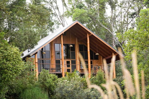 The Canopy Rainforest Treehouses And Wildlife Sanctuary - Whitsundays Accommodation 2
