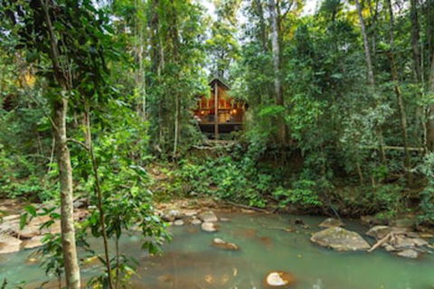 The Canopy Rainforest Treehouses And Wildlife Sanctuary - Whitsundays Accommodation 0