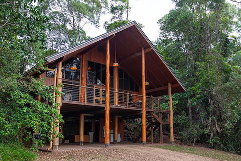 The Canopy Rainforest Treehouses And Wildlife Sanctuary - Whitsundays Accommodation 3