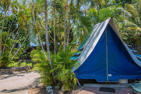 Tasman Holiday Parks - Airlie Beach - Whitsundays Accommodation 5