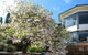 Nesuto Leura Gardens - thumb 1